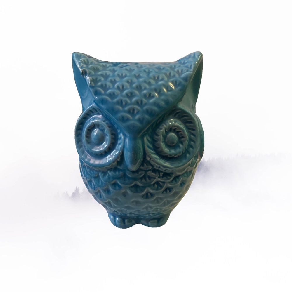 Blue Owl Money Bank